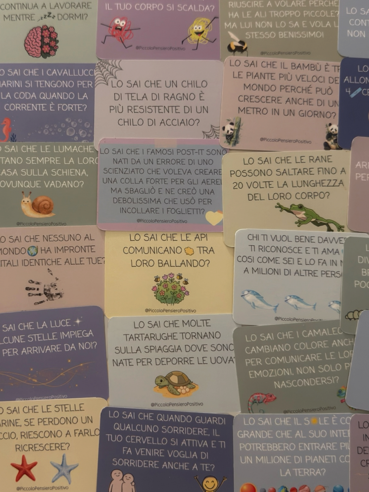 Carte edizione “LO SAI CHE…?” con 30 curiosità dal mondo e 30 pensieri/riflessioni abbinate!