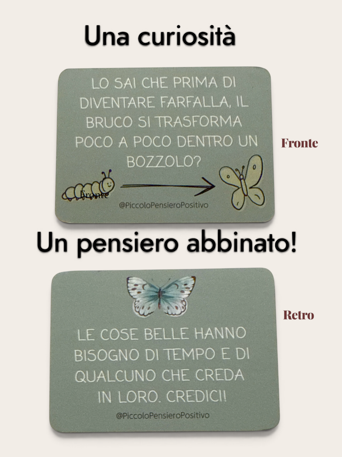 Carte edizione “LO SAI CHE…?” con 30 curiosità dal mondo e 30 pensieri/riflessioni abbinate!